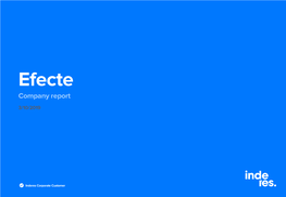 Efecte Company Report