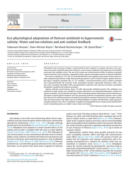 Eco-Physiological Adaptations of Panicum Antidotale to Hyperosmotic