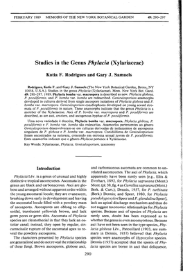 Studies in the Genus Phylacia (Xylariaceae)