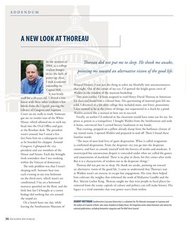 A New Look at Thoreau