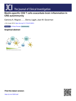 Myelin-Specific CD8 T Cells Exacerbate Brain Inflammation in CNS Autoimmunity