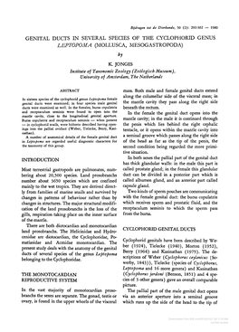 Genital Ducts in Several Species of the Cyclophorid Genus Leptopoma