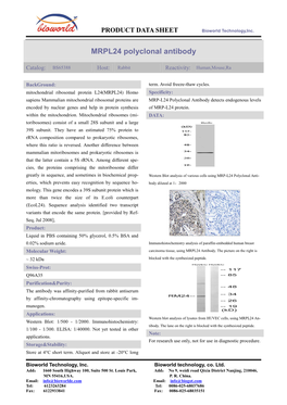 MRPL24 Polyclonal Antibody