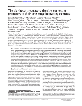 The Pluripotent Regulatory Circuitry Connecting Promoters to Their Long-Range Interacting Elements