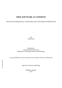 Free Software As Commons