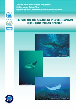 Report on the Status of Mediterranean Chondrichthyan Species