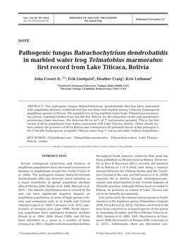 Pathogenic Fungus Batrachochytrium Dendrobatidis in Marbled Water Frog Telmatobius Marmoratus: First Record from Lake Titicaca, Bolivia
