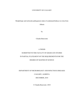 Morphologic and Molecular Pathogenesis Study of Condemned Kidneys in Swine From