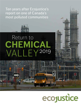 Return to CHEMICAL VALLEY2019 Contents BACKGROUND