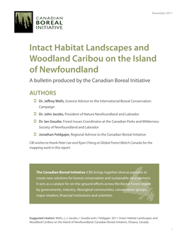 Intact Habitat Landscapes and Woodland Caribou on the Island of Newfoundland a Bulletin Produced by the Canadian Boreal Initiative