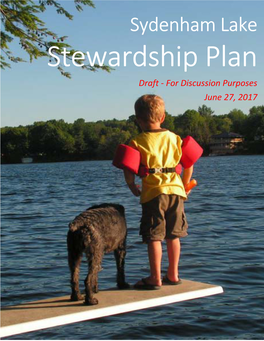 Sydenham Lake Stewardship Plan