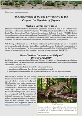The Importance of the Rio Conventions to the Cooperative Republic of Guyana
