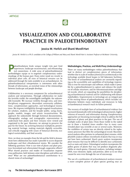 Visualization and Collaborative Practice in Paleoethnobotany