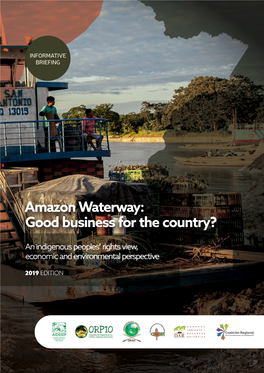 Amazon Waterway: Good Business for the Country?