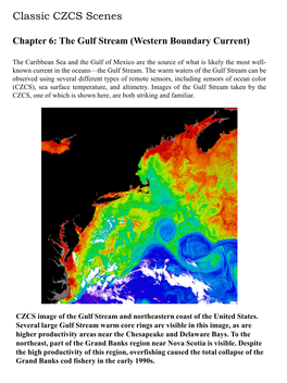 The Gulf Stream (Western Boundary Current)