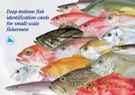 Deep-Bottom Fish Identification Cards for Small-Scale Fishermen