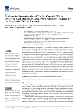 Evidence for Ecosystem-Level Trophic Cascade Effects Involving Gulf Menhaden (Brevoortia Patronus) Triggered by the Deepwater Horizon Blowout