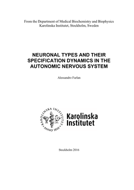 Neuronal Types and Their Specification Dynamics in the Autonomic Nervous System