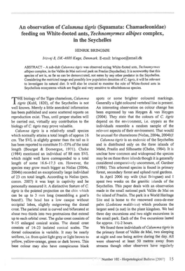 An Observation of Calumma Tigris (Squamata: Chamaeleonidae) Feeding on White-Footed Ants, Technomyrmex Albipes Complex, in the Seychelles