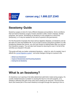 Pdfs–For–Download/Ostomy–Care/Whats–Right–For– Me–-–Ileostomy 907602-806.Pdf on October 2, 2019