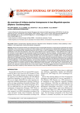 An Overview of Irritans-Mariner Transposons in Two Mayetiola Species (Diptera: Cecidomyiidae)