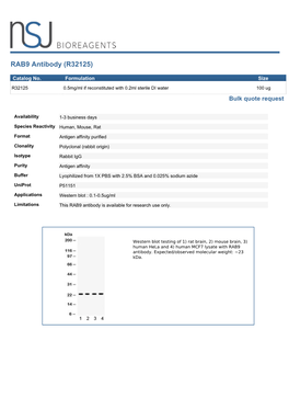 RAB9 Antibody (R32125)