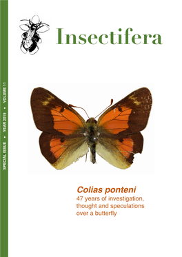 Colias Ponteni 47 Years of Investigation, Thought and Speculations Over a Butterfly