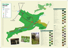 Harridge Woods Woods N 5 East South Woods Harridge 2 2 Woods 4 West to Oakhill Key Keepers Key 3 3 CoAge Long Route Red (2Km+) 6