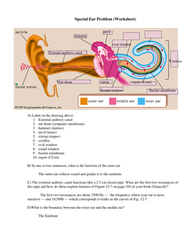 Special Ear Problem (Worksheet)