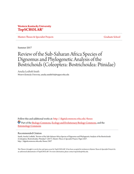 Review of the Sub-Saharan Africa Species of Dignomus And