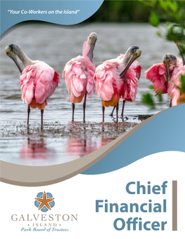 Chief Financial Officer