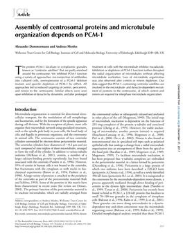 Assembly of Centrosomal Proteins and Microtubule Organization Depends on PCM-1