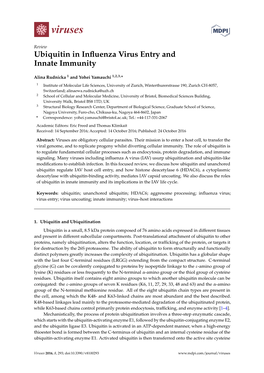 Ubiquitin in Influenza Virus Entry and Innate Immunity