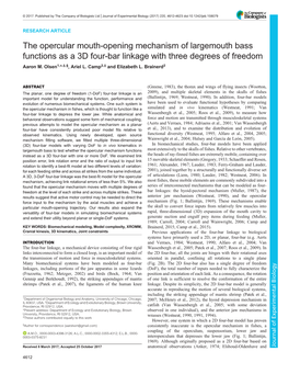 The Opercular Mouth-Opening Mechanism of Largemouth Bass Functions As a 3D Four-Bar Linkage with Three Degrees of Freedom Aaron M