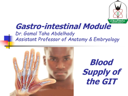 Inferior Mesenteric Artery Abdominal Aorta