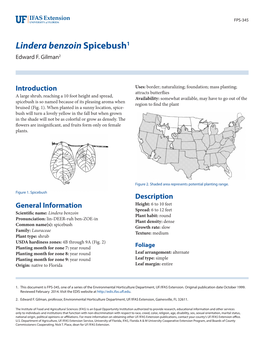 Lindera Benzoin Spicebush1 Edward F