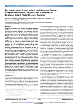 Bcr Interacts with Components of the Endosomal Sorting Complex Required for Transport-I and Is Required for Epidermal Growth Factor Receptor Turnover