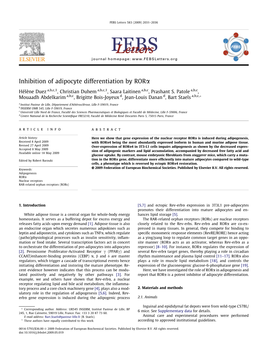 Inhibition of Adipocyte Differentiation by Rorα