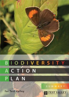 Biodiversity Action Plan for Test Valley May 2008 the Summary Local Biodiversity Action Plan for Test Valley May 2008
