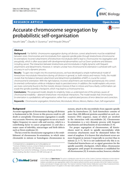 Accurate Chromosome Segregation by Probabilistic Self-Organisation Yasushi Saka1*, Claudiu V