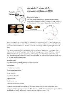 Hyridella (Protohyridella) Glenelgensis (Dennant,1898)