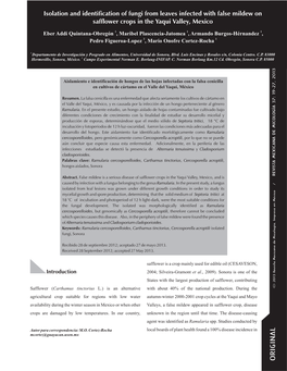 Isolation and Identification of Fungi from Leaves Infected with False Mildew on Safflower Crops in the Yaqui Valley, Mexico