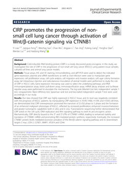 CIRP Promotes the Progression of Non-Small Cell Lung Cancer Through