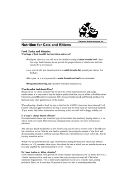 Cat and Kitten Nutrition