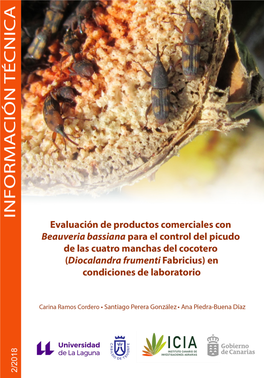 Diocalandra Frumenti.Pdf (Consultado El 11 De Marzo De 2018)