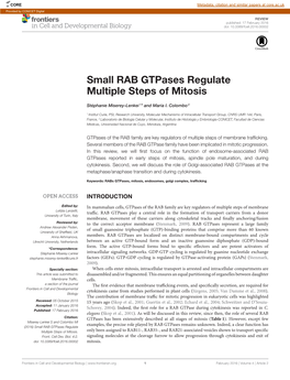 Small RAB Gtpases Regulate Multiple Steps of Mitosis