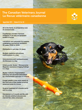 The Canadian Veterinary Journal La Revue Vétérinaire Canadienne All in the Family: a Comparative Look at Coronaviruses