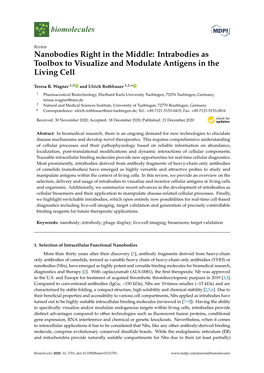 Nanobodies Right in the Middle: Intrabodies As Toolbox to Visualize and Modulate Antigens in the Living Cell