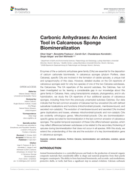 Carbonic Anhydrases: an Ancient Tool in Calcareous Sponge Biomineralization