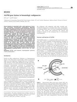 REVIEW NUP98 Gene Fusions in Hematologic Malignancies